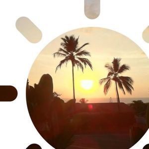 Meet your Posher, Elisha